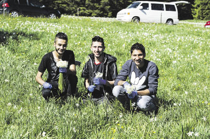 Foto: Plattform Gastfreundschaft